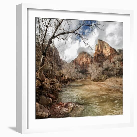 USA, Utah, Zion National Park. Virgin River and Cottonwoods in winter-Ann Collins-Framed Photographic Print