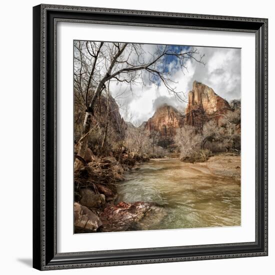 USA, Utah, Zion National Park. Virgin River and Cottonwoods in winter-Ann Collins-Framed Photographic Print