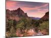 USA, Utah, Zion National Park, Watchman Mountain and Virgin River-Michele Falzone-Mounted Photographic Print