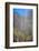 USA, Utah, Zion National Park. Waterfall Scenic-Jay O'brien-Framed Photographic Print