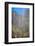 USA, Utah, Zion National Park. Waterfall Scenic-Jay O'brien-Framed Photographic Print