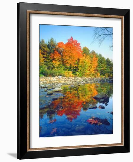 USA, Vermont, Autumn Colors Reflecting in a Stream in Vermont-Jaynes Gallery-Framed Photographic Print