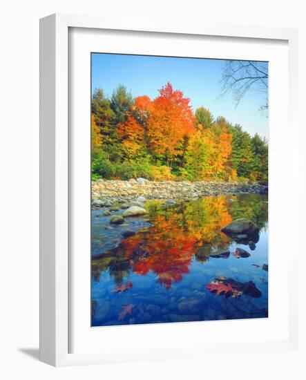 USA, Vermont, Autumn Colors Reflecting in a Stream in Vermont-Jaynes Gallery-Framed Photographic Print