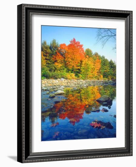 USA, Vermont, Autumn Colors Reflecting in a Stream in Vermont-Jaynes Gallery-Framed Photographic Print