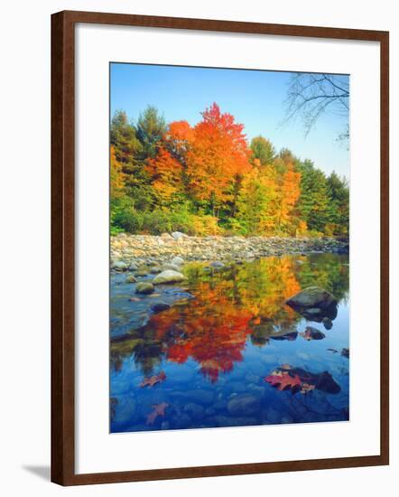 USA, Vermont, Autumn Colors Reflecting in a Stream in Vermont-Jaynes Gallery-Framed Photographic Print