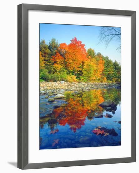 USA, Vermont, Autumn Colors Reflecting in a Stream in Vermont-Jaynes Gallery-Framed Photographic Print