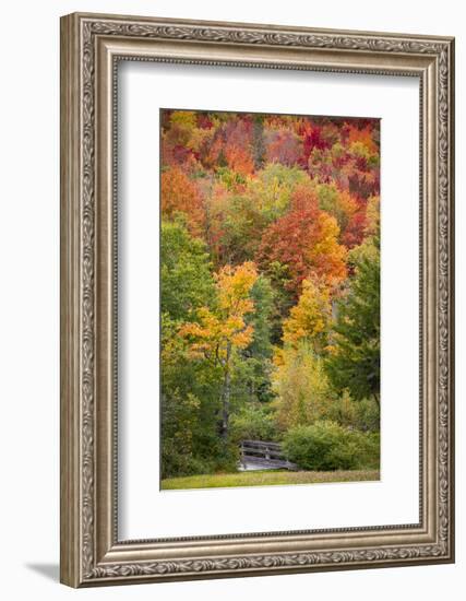 USA, Vermont, Fall foliage in Green Mountains at Bread Loaf, owned by Middlebury College.-Alison Jones-Framed Photographic Print