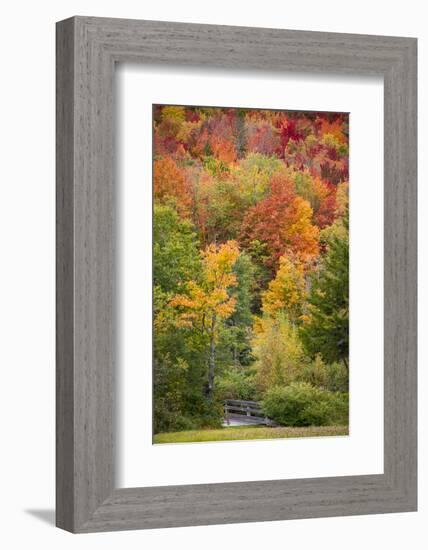 USA, Vermont, Fall foliage in Green Mountains at Bread Loaf, owned by Middlebury College.-Alison Jones-Framed Photographic Print