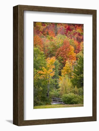 USA, Vermont, Fall foliage in Green Mountains at Bread Loaf, owned by Middlebury College.-Alison Jones-Framed Photographic Print