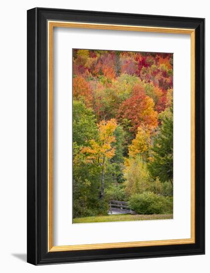 USA, Vermont, Fall foliage in Green Mountains at Bread Loaf, owned by Middlebury College.-Alison Jones-Framed Photographic Print