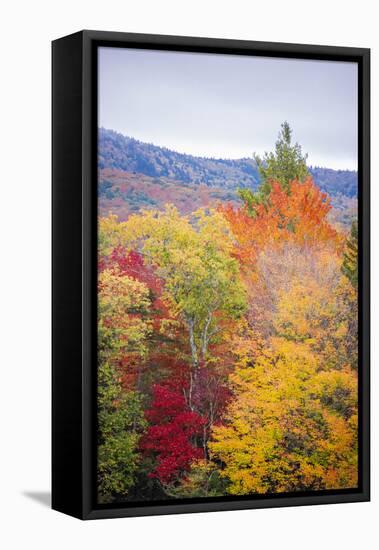 USA, Vermont, Fall foliage in Green Mountains at Bread Loaf, owned by Middlebury College.-Alison Jones-Framed Premier Image Canvas