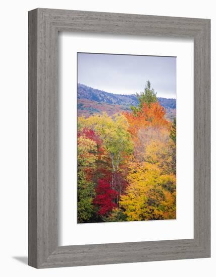 USA, Vermont, Fall foliage in Green Mountains at Bread Loaf, owned by Middlebury College.-Alison Jones-Framed Photographic Print