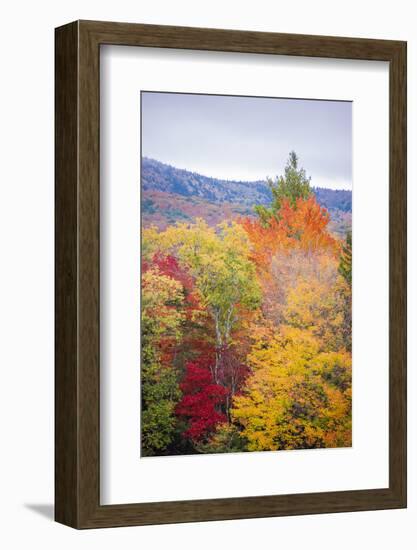 USA, Vermont, Fall foliage in Green Mountains at Bread Loaf, owned by Middlebury College.-Alison Jones-Framed Photographic Print