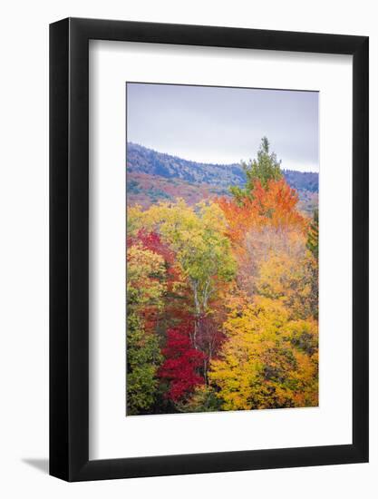 USA, Vermont, Fall foliage in Green Mountains at Bread Loaf, owned by Middlebury College.-Alison Jones-Framed Photographic Print