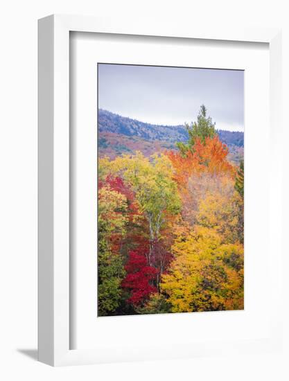 USA, Vermont, Fall foliage in Green Mountains at Bread Loaf, owned by Middlebury College.-Alison Jones-Framed Photographic Print