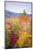 USA, Vermont, Fall foliage in Green Mountains at Bread Loaf, owned by Middlebury College.-Alison Jones-Mounted Photographic Print