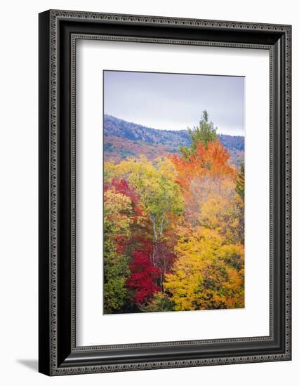 USA, Vermont, Fall foliage in Green Mountains at Bread Loaf, owned by Middlebury College.-Alison Jones-Framed Photographic Print