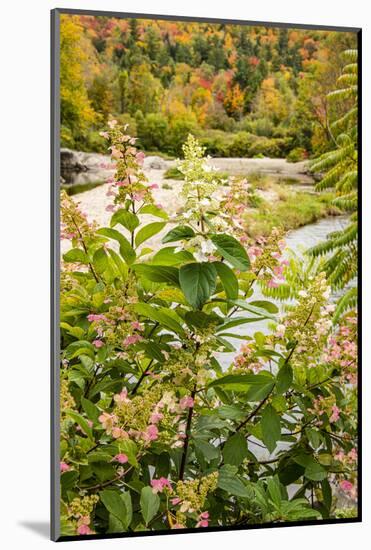 USA, Vermont, Fall foliage in Mad River Valley, Waitsfield-Alison Jones-Mounted Photographic Print