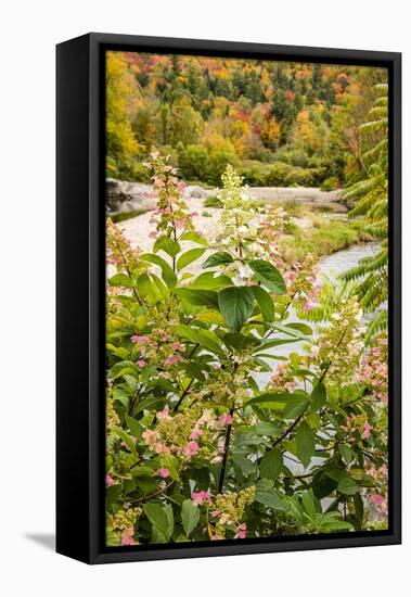 USA, Vermont, Fall foliage in Mad River Valley, Waitsfield-Alison Jones-Framed Premier Image Canvas