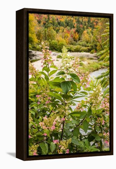 USA, Vermont, Fall foliage in Mad River Valley, Waitsfield-Alison Jones-Framed Premier Image Canvas