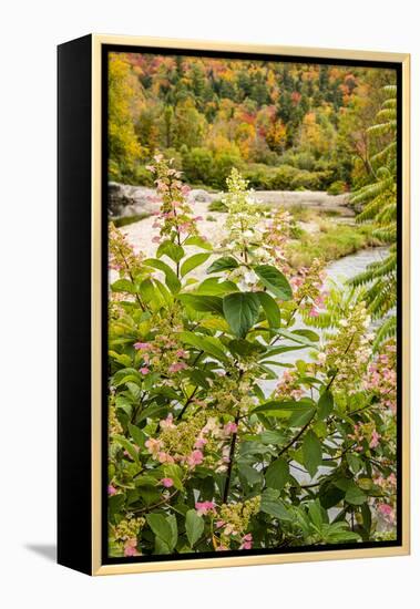 USA, Vermont, Fall foliage in Mad River Valley, Waitsfield-Alison Jones-Framed Premier Image Canvas