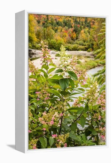 USA, Vermont, Fall foliage in Mad River Valley, Waitsfield-Alison Jones-Framed Premier Image Canvas