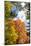 USA, Vermont, Fall foliage in Morrisville on Jopson Lane-Alison Jones-Mounted Photographic Print