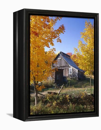 USA, Vermont, House, Old, Maple Trees, Autumn-Thonig-Framed Premier Image Canvas