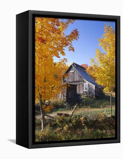 USA, Vermont, House, Old, Maple Trees, Autumn-Thonig-Framed Premier Image Canvas