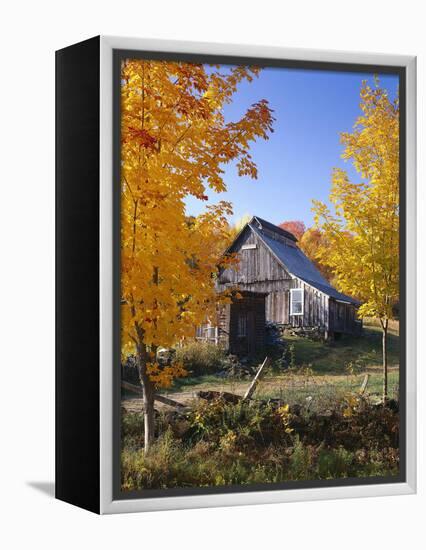 USA, Vermont, House, Old, Maple Trees, Autumn-Thonig-Framed Premier Image Canvas