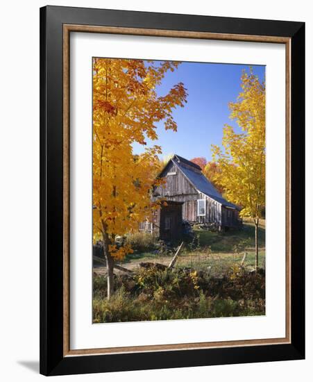 USA, Vermont, House, Old, Maple Trees, Autumn-Thonig-Framed Photographic Print