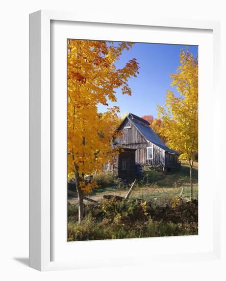 USA, Vermont, House, Old, Maple Trees, Autumn-Thonig-Framed Photographic Print