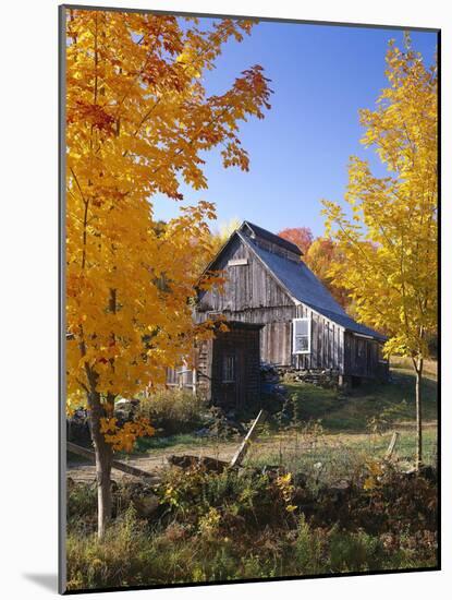 USA, Vermont, House, Old, Maple Trees, Autumn-Thonig-Mounted Photographic Print