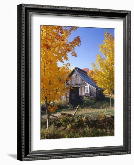 USA, Vermont, House, Old, Maple Trees, Autumn-Thonig-Framed Photographic Print