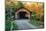 USA, Vermont, Montgomery. Creamery Bridge with Fall Foliage-Bill Bachmann-Mounted Photographic Print