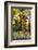 USA, Vermont, Morrisville, Jopson Lane. Fall foliage-Alison Jones-Framed Photographic Print