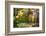 USA, Vermont, Morrisville, Jopson Lane. Fall foliage-Alison Jones-Framed Photographic Print