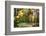 USA, Vermont, Morrisville, Jopson Lane. Fall foliage-Alison Jones-Framed Photographic Print