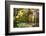 USA, Vermont, Morrisville, Jopson Lane. Fall foliage-Alison Jones-Framed Photographic Print