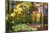 USA, Vermont, Morrisville, Jopson Lane. Fall foliage-Alison Jones-Mounted Photographic Print