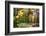 USA, Vermont, Morrisville, Jopson Lane. Fall foliage-Alison Jones-Framed Photographic Print