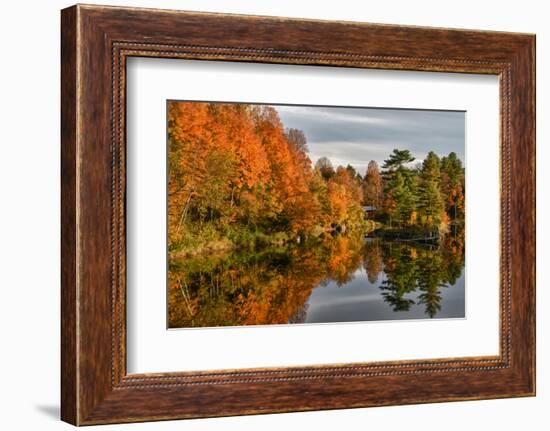 USA, Vermont, Morrisville. Lake Lamoille Reflecting Fall Foliage-Bill Bachmann-Framed Photographic Print