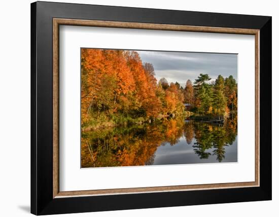 USA, Vermont, Morrisville. Lake Lamoille Reflecting Fall Foliage-Bill Bachmann-Framed Photographic Print