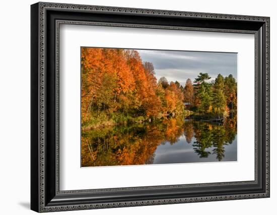 USA, Vermont, Morrisville. Lake Lamoille Reflecting Fall Foliage-Bill Bachmann-Framed Photographic Print