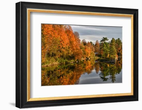 USA, Vermont, Morrisville. Lake Lamoille Reflecting Fall Foliage-Bill Bachmann-Framed Photographic Print