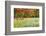 USA, Vermont, Morrisville. Lyle McKee Road, fall foliage-Alison Jones-Framed Photographic Print