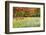 USA, Vermont, Morrisville. Lyle McKee Road, fall foliage-Alison Jones-Framed Photographic Print