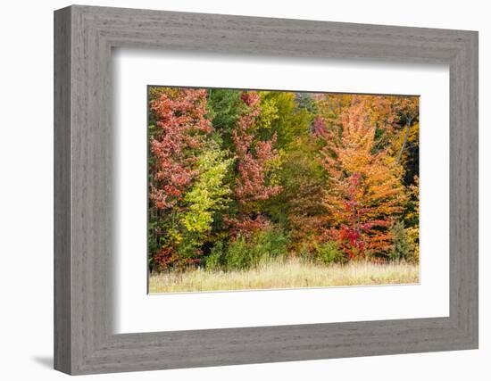 USA, Vermont, Morrisville. Lyle McKee Road, fall foliage-Alison Jones-Framed Photographic Print