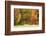 USA, Vermont, Morrisville. Lyle McKee Road, fall foliage-Alison Jones-Framed Photographic Print