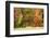 USA, Vermont, Morrisville. Lyle McKee Road, fall foliage-Alison Jones-Framed Photographic Print